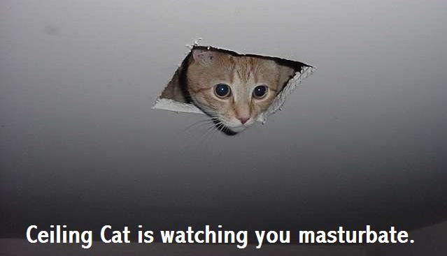 Ceiling Cat LOLCatz